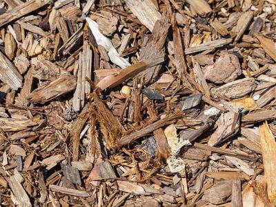 cedar-bark-chips-in-the-garden